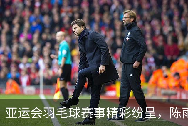 亚运会羽毛球赛事精彩纷呈，陈雨菲逆转取胜，安洗莹强势晋级