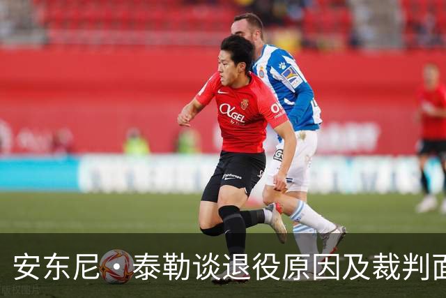 安东尼·泰勒谈退役原因及裁判面临的压力