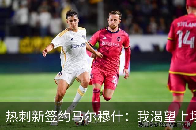 热刺新签约马尔穆什：我渴望上场比赛，期待和球队共创辉煌